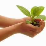 New Year, New Beginnings, What to Change